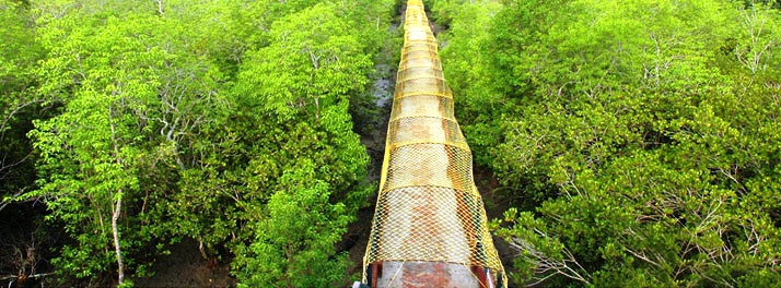 1856/Sunderban Tiger Camp - Sunderban 08.jpg